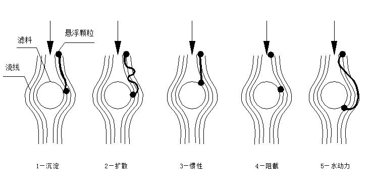 顆粒濾料的遷移機理